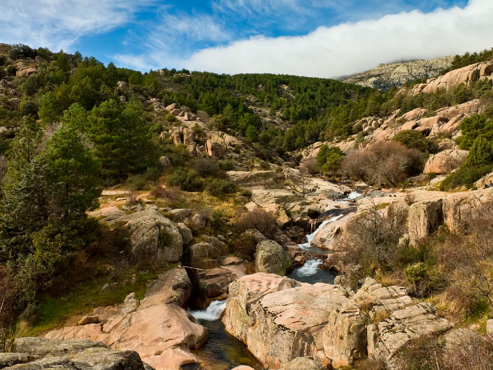 La charca verde en La pedriza