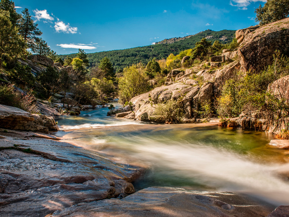 La charca verde en La pedriza